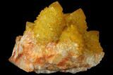 Sunshine Cactus Quartz Crystal - South Africa #98386-2